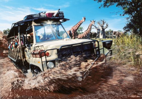 's Animal Kingdom Theme Park - Kilimanjaro Safaris © Disney