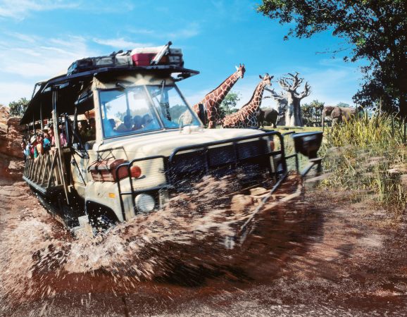 Disney's Animal Kingdom Theme Park - Kilimanjaro Safaris © Disney